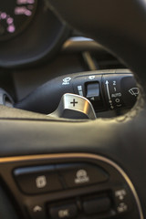 Control buttons on steering wheel in a modern car.