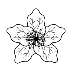 cute japanese flower icon vector illustration design