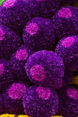 allegoric car detail