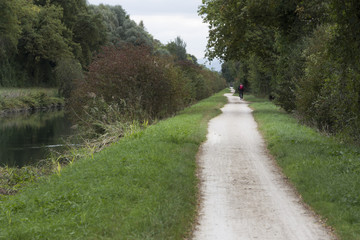 Fototapeta na wymiar Radfahrer auf Radweg am Kanal