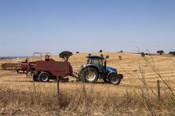 Tractor roaming the fields