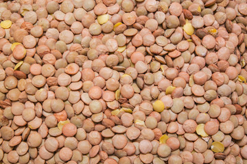 lentil background, texture