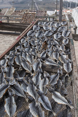 Drying fish in Nazare