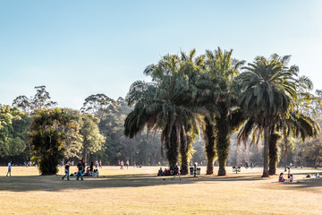 Ibirapuera Park in Sao Paulo, Brazil (Brasil) - 131758330