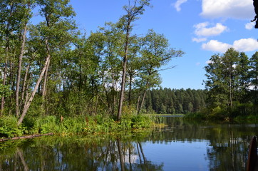 Obraz premium Dolina Rospudy/The Rospuda Valley, Podlasie, Poland