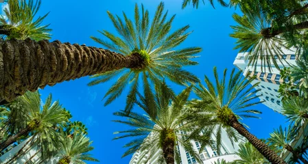 Fotobehang Prachtig Miami Beach © Fotoluminate LLC
