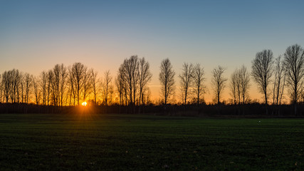 winter landscape of sunrise over the green field and trees