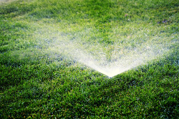 Sprinklers Spraying Water on Lawn Grass