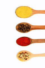 spicy fragrant spices in spoons