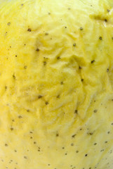 Old and wrinkled skin of apple