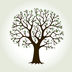 Obraz premium Color Tree and Roots. Vector Illustration.