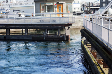 Fototapeta na wymiar Downstream lock opening, Hiram Chittenden Locks, Seattle
