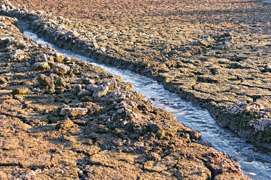 Water stream among dried cracked earth