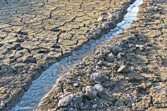 Water stream among dried cracked soil