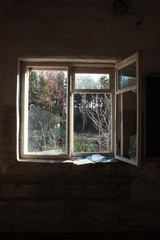 abandoned window