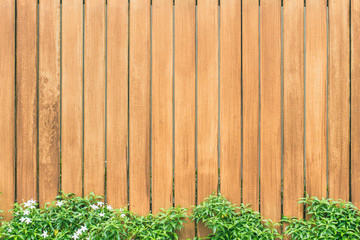 wood wall or oak wood fence with nature green leaf for background