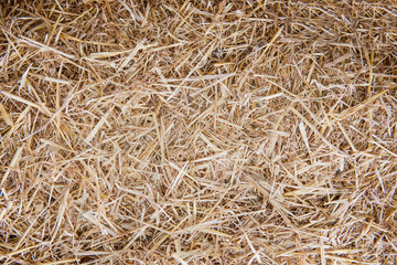 Background texture of straw