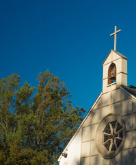 Catholic Church