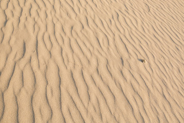 Sand Texture in morning at koh lanta ,Thailand