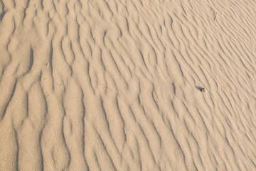 Sand Texture in morning at koh lanta ,Thailand
