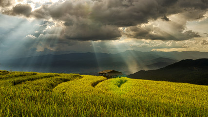 Hut in terrace rice field with storm clouds and sunbeam