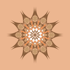 Ornamental round pattern. Colorful ornament with vintage element