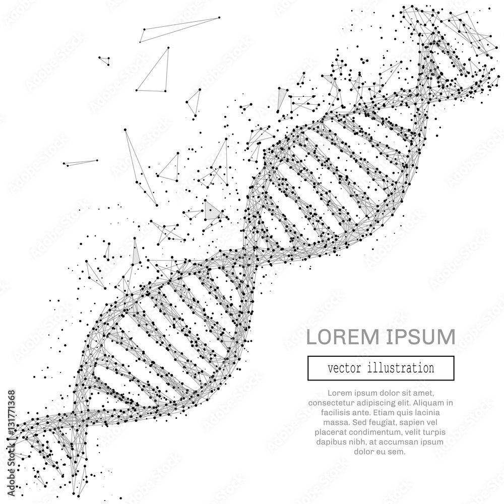 Poster Grey DNA with polygon line on black abstract background. Polygonal space low poly with connecting dots and lines. Connection structure. Vector science background.