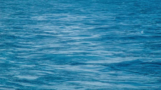 Close-up of Ocean Swells Bobbing in the Wake of a Ship at Sea with Blue Colored Water