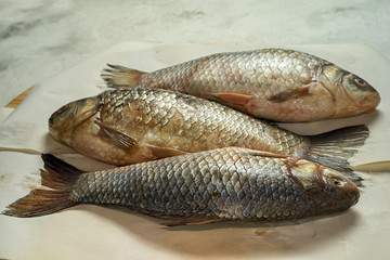 three raw carp on the paper side view