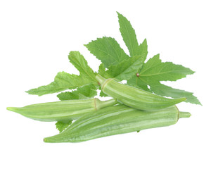 okra isolated on the white backgroud.