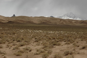 travel in Qinghai