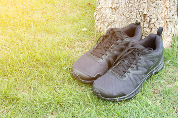 Running shoe color black on green grass. Soft flare sunlight.