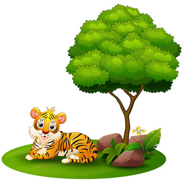 Cartoon tiger lay down under a tree on a white background