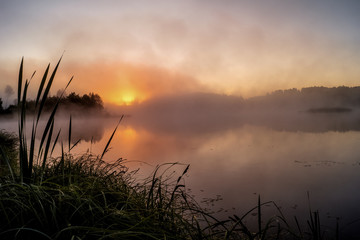 Misty summer morning on the lake.