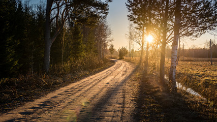 Obraz premium winter landscape of sunset over the country road with trees