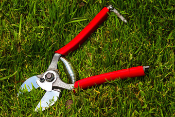 professional garden secateurs