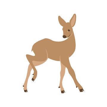 Deer young vector illustration style Flat