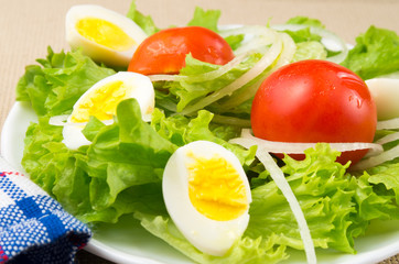 View close-up on a small portion of fresh dishes