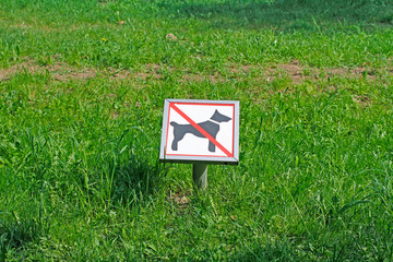 The prohibitive sign "Not for dog walking" on the background of green grass