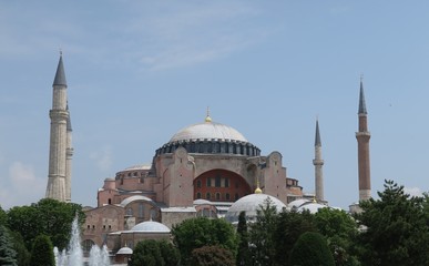 Fototapeta na wymiar Tree in front of Hagia Sophia in Istanbul, Turkey