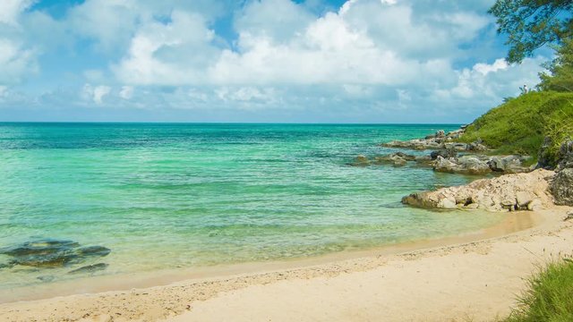 An Idyllic Exotic Beach on the Southern Side of the Bermudan Islands on a Sunny Day, featuring Golden Sand, Lush Green Foliage, Clear Tropical Water and White Clouds in a Blue Sky