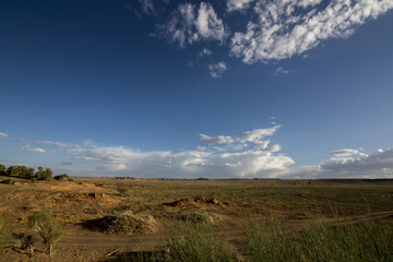 Naklejka premium Wüste Gobi - Mongolei