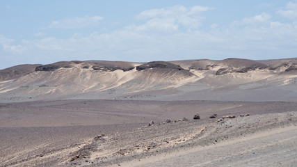 desert landscape
