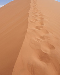sand dune