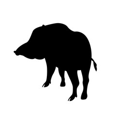 Wild boar vector illustration  black silhouette 
