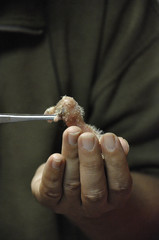 Man feeding a bird of prey chick