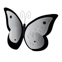 beautiful butterflies, isolated on a white