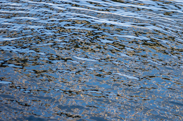 Motion of water on an autumnal Dnepr river in Ukraine