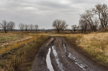 Fototapeta na wymiar Ukrainian rural dirty earth road in rainy autumnal season