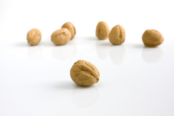 Walnuts scattered on white table. Still-life picture taken in studio with soft-box.